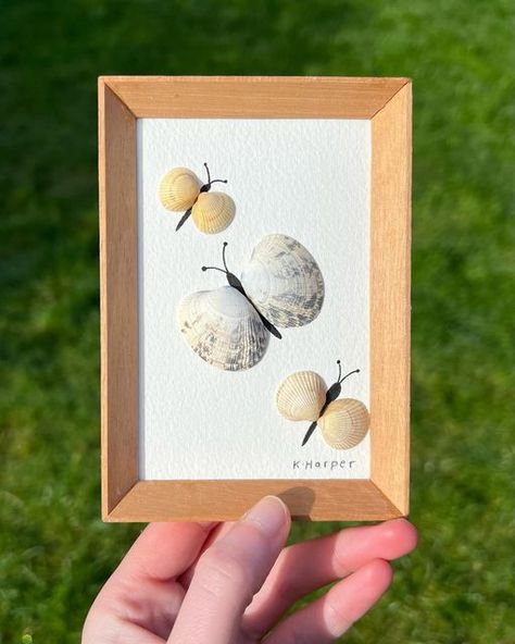 Katie Harper on Instagram: "🐚🦋 I think these are some of the cutest pieces I’ve ever made 🥹   #art#artist#seashell#coastalart#seaglass#framedartwork#natureart#shellartwork#butterfly#art#homedecor" Seashell Butterflies, Seashell Butterfly, Butterfly Seashell Art, Manualidades Diy, Sea Glass Crafts, Pencil Art Drawings, Seashell Art, Beach Crafts, Sea Glass Art