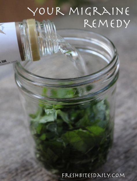 Your new migraine remedy: A simple and inexpensive herbal tincture at FreshBitesDaily.com Migraine Remedy, Natural Headache, Magia Das Ervas, Natural Headache Remedies, Healing Remedies, Herbal Tinctures, Natural Healing Remedies, Herbal Healing, Holistic Remedies