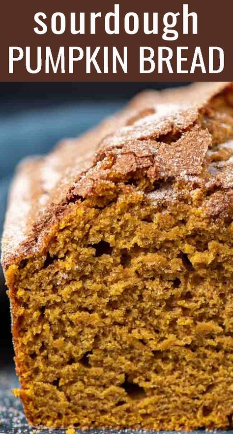 Sourdough Discard Pumpkin, Sourdough Pumpkin Bread, Dough Starter Recipe, Sourdough Pumpkin, Sourdough Discard Recipes, Recipe Using Sourdough Starter, Sourdough Bread Starter, Dough Starter, Friendship Bread