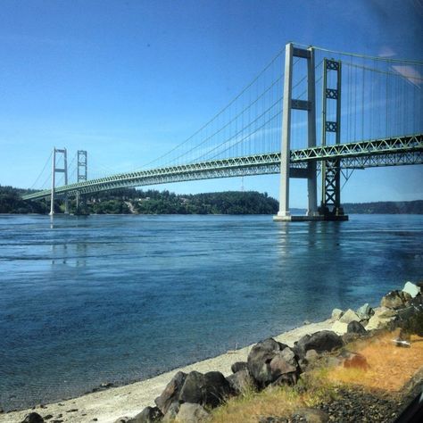 Things To Do in Tacoma: The Narrows Bridge: https://tacoma.cleverneighbor.com/activities/things-to-do-in-tacoma-the-narrows-bridge/ Duck Ponds, Room Crochet, Tacoma Narrows Bridge, The Narrows, Bridge Painting, Road Bridge, Forest Trail, Bird Watchers, Olympic Peninsula