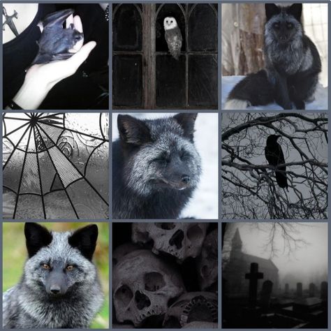 Fox moodboards part 1!! Fennec fox, Red fox, Marble fox, Silver fox. #therian #therianthropy #fox #fennecfox #redfox #marblefox #silverfox #moodboard #moodboards Silver Fox Aesthetic, Silver Fox Therian, Fox Moodboard, Fox Therian, Fox Aesthetic, Dark Academy, Monster Theme, Silver Foxes, Fennec Fox