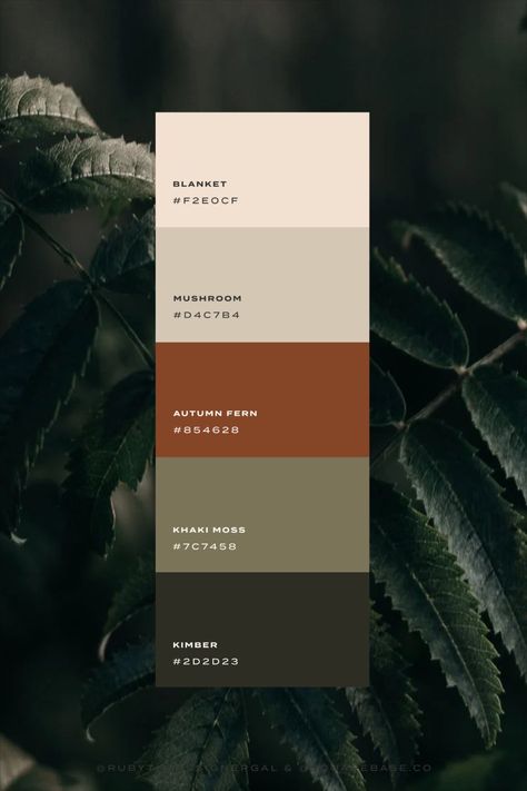 Natural and Warm Color Palette Green Terracotta Black Color Palettes, Down To Earth Color Palette, Color Pallets Earth Tones, Nature Color Pallets, Neutral Masculine Color Palette, Earthy Moody Color Palette, Nature Wedding Colors Palette, Colour Palette Brown Earth Tones, Natural Brand Color Palette