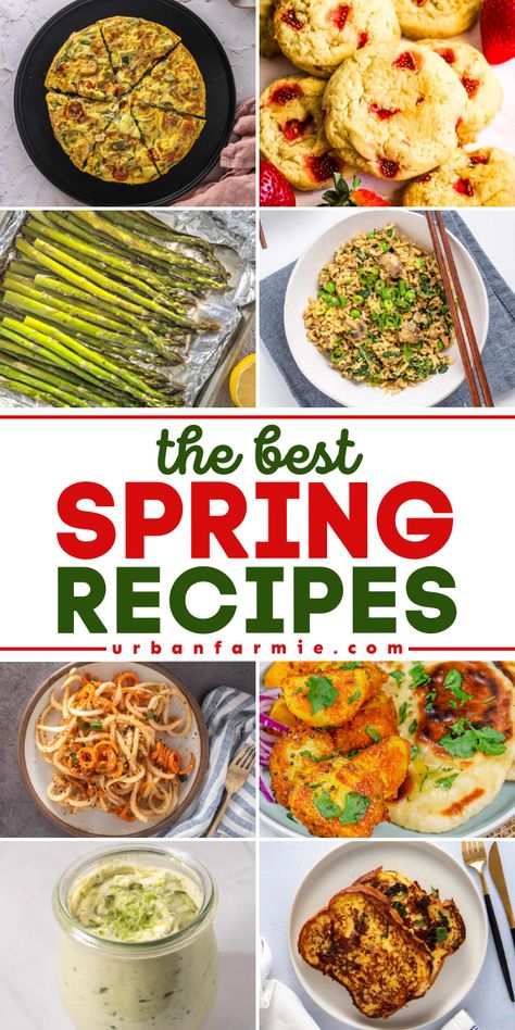 Make the most of fruits and vegetables in spring season! These vegetarian spring food recipes are the BEST. Find spring salad recipes and easy spring side dishes, springtime dinner recipes, spring dessert recipes, and more! Spring drink recipes included! Spring Food Recipes, Beltane 2024, Salads Strawberry, Spring Dessert Recipes, Spring Recipes Vegetarian, Spring Drink Recipes, Spring Onion Recipes, Spring Dinners, Spring Foods