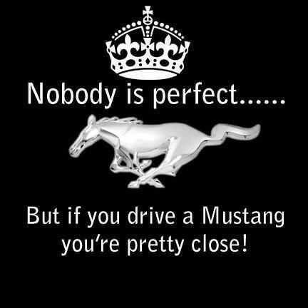 Mustang Quotes, Car Dark, Nobody Is Perfect, Mustang Girl, 66 Mustang, Mustang Sally, Vintage Mustang, Mustang Cobra, Car Memes