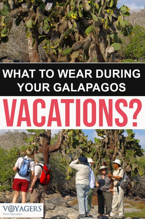 Trip To Galapagos, Galapagos Islands Animals, Galapagos Islands Travel, Vacation Countdown, Travel Love Quotes, Galapagos Ecuador, Everyone Is Different, Coffee Travel Mugs, Cruise Packing