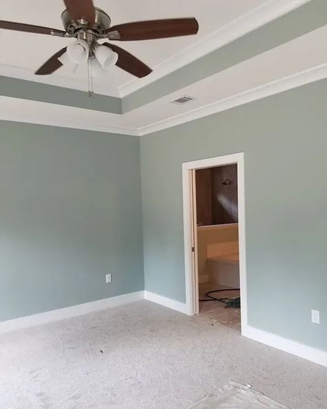 Sherwin Williams Silvermist Coordinating Colors, Seamist Paint Color, Sw Silvermist Bedroom, Silvermist Sherwin Williams Exterior, Apartment Living Room Paint Color Ideas, Silver Mist Sherwin Williams, Sw Silvermist, Blue Green Bathroom Paint, Silvermist Sherwin Williams