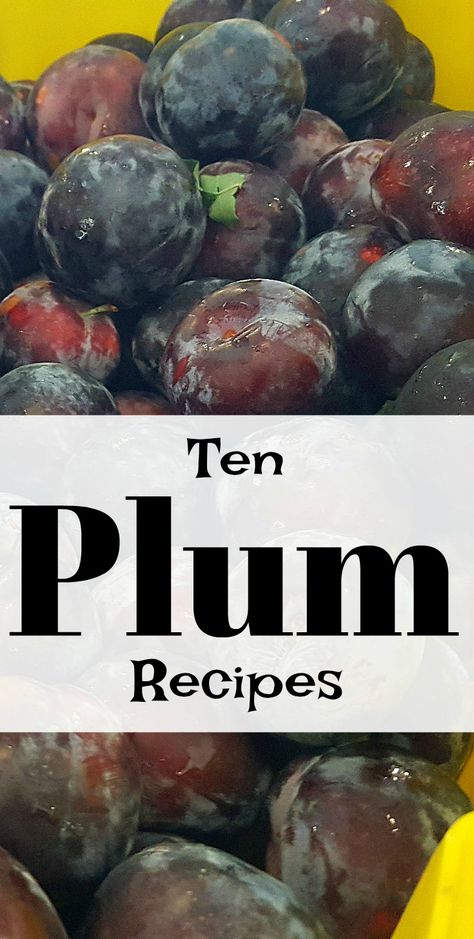 10 Recipes for Fresh, Seasonal Plums Plum Recipes Healthy, Plums Recipes Dessert, Plum Sauce Recipe, Plum Varieties, Plum Pie, Plum Recipes, Farmers Market Recipes, Plum Sauce, Farm Fresh Recipes