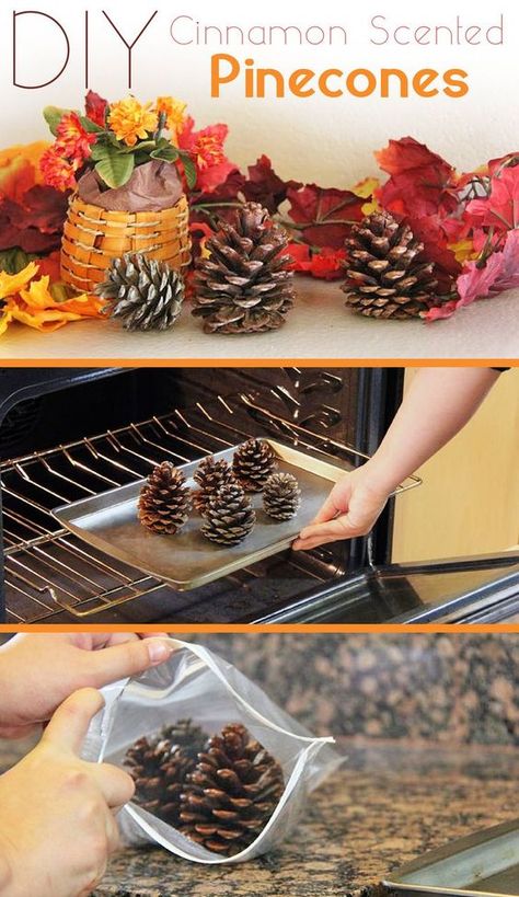 Cinnamon Scented Pinecones are the definition of fall decor! It's so easy to make it yourself and it makes your entire home smell amazing. Cinnamon Scented Pinecones, Diy Cinnamon, Scented Pinecones, Home Smell, Modern Eclectic, Cones Crafts, Pine Cone Crafts, Fall Crafts Diy, Smell Amazing