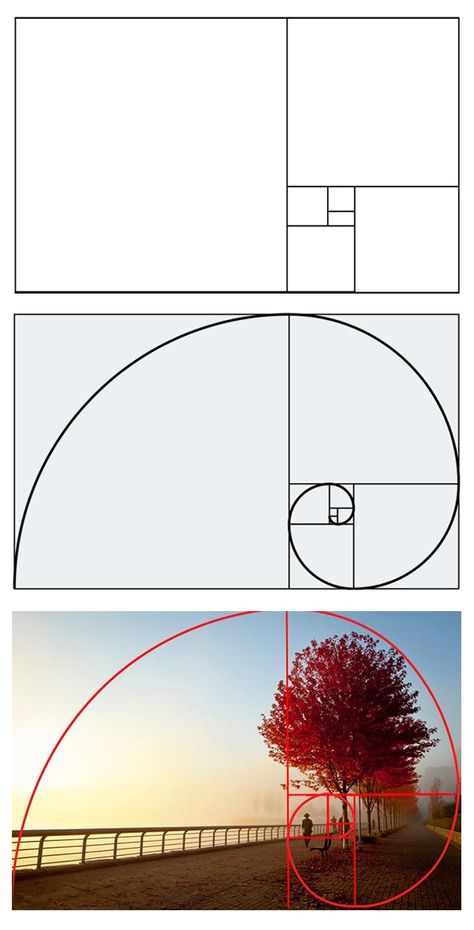 Photography Cheat Sheets, Art Basics, Design Theory, Photo Composition, Foto Tips, Photography Basics, Principles Of Design, Web Design Tips, Composition Photography