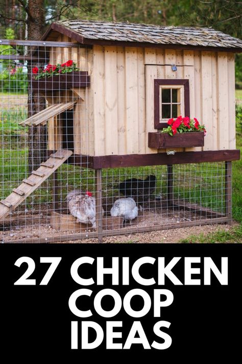 Whether you have a farm or just a little extra room in your backyard, raising chickens can be a fun and rewarding experience. Here, we share 27 of the BEST Chicken Coop Ideas! Read more at OwnTheYard.com! Simple Diy Chicken Coop With Run, Palet Chicken Coop Ideas, Big Chicken Run Ideas, Frugal Chicken Coop, Palate Chicken Coop, Chickens Small Backyard, Chicken Coop Extras, Add On To Chicken Coop, Chicken Coop With Run Underneath