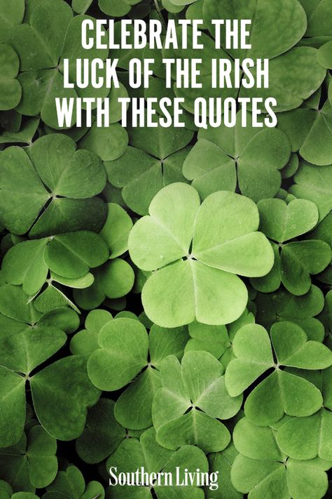 We collected funny St. Patrick’s Day quotes that best celebrate this spirited Irish holiday. Raise a glass of green beer and celebrate St. Paddy’s Day by sharing these joyful Irish quotes with others. #stpatricksdayquotes #irishquotes #southernliving St Patricks Day Humor Funny, When Irish Eyes Are Smiling, Short Irish Blessings, Saint Patricks Day Quotes Funny, Luck Of The Irish Quotes, St Patricks Day Meme Funny, Irish Sayings Quotes Proverbs, St Patricks Day Quotes Inspiration, St Patrick’s Day Meme