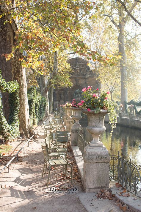 Everyday Parisian, Fall In Paris, Paris Door, Paris Garden, Paris In Autumn, Luxembourg Gardens, Paris Guide, Parisian Cafe, Cherry Blossom Season