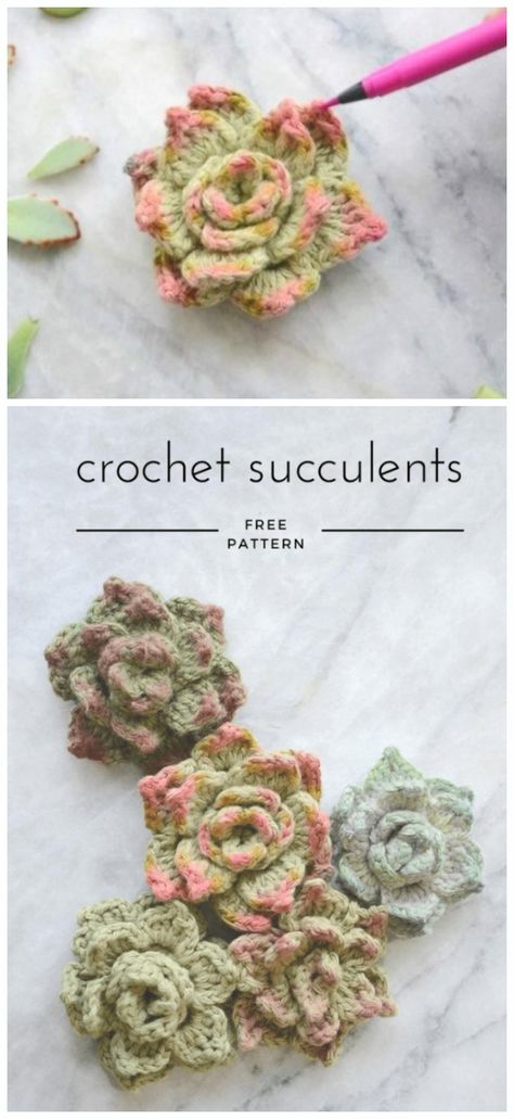 Succulent Plant Crochet Free Patterns - Crochet & Knitting Cactus En Crochet, Free Patterns Crochet, Plant Crochet, Crochet Succulent, Crochet Free Patterns, Crochet Flowers Easy, Crochet Flowers Free Pattern, Confection Au Crochet, Crochet Cactus