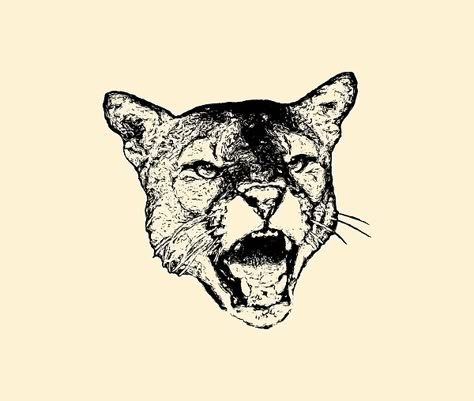 Mountain Lion Drawing, Mountain Lion Tattoo, Mountain Lion Art, Colorado Design, Teeth Art, Lion Drawing, Lion Tattoo Design, Mountain Lion, Lion Art