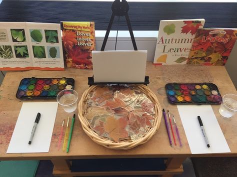 Inquiring Minds: Mrs. Myers' Kindergarten: October 2016 Science Table, Kindergarten Blogs, Art Provocations, Twistable Crayons, Fall Science, Creative Thinking Skills, Fall Preschool Activities, Autumn Invitations, Tree Study