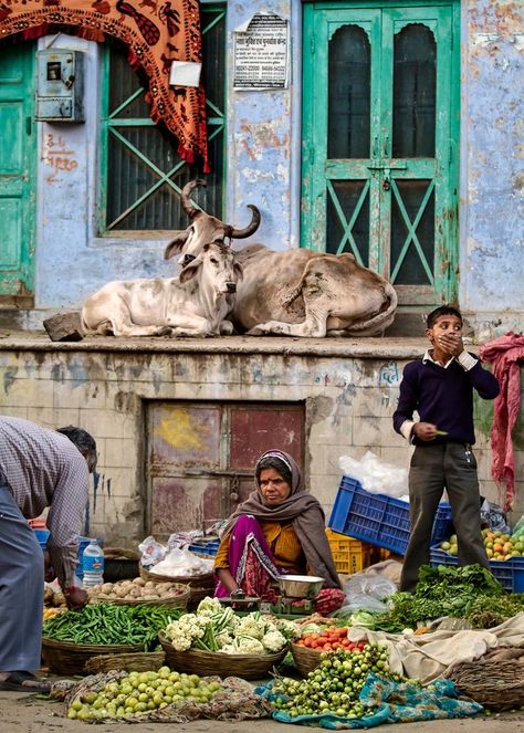 Pushkar market scene by PierreTurtaut - Cultures of the World Photo Contest Desert Dreamer, Amazing India, Goa India, We Are The World, Varanasi, South Asia, People Of The World, World Cultures, Jodhpur