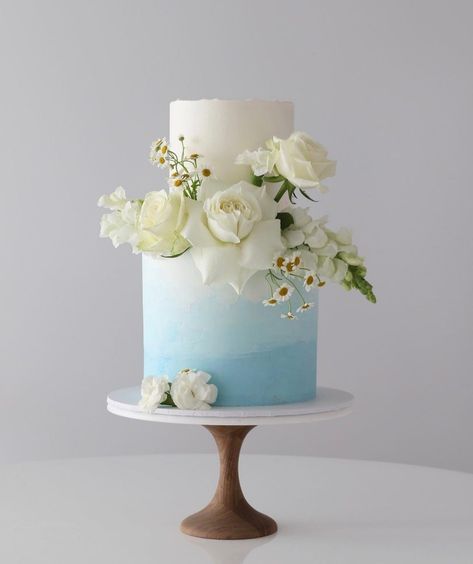 Light Blue Minimalist Cake, Dusty Blue 2 Tier Wedding Cake, Wedding Cake Dusty Blue, Light Blue Wedding Cake, 2 Tier Wedding Cakes, Wedding Theme Color Schemes, One Layer Cakes, Baby Blue Weddings, Travel Cake