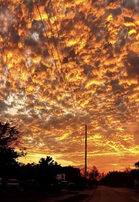 Julian Core, Orange Walk Town, Orange Hour, Beautiful Sky Pictures, Yellow Pictures, Golden Like Daylight, Crepuscular Rays, Sky On Fire, Golden Hour Aesthetic