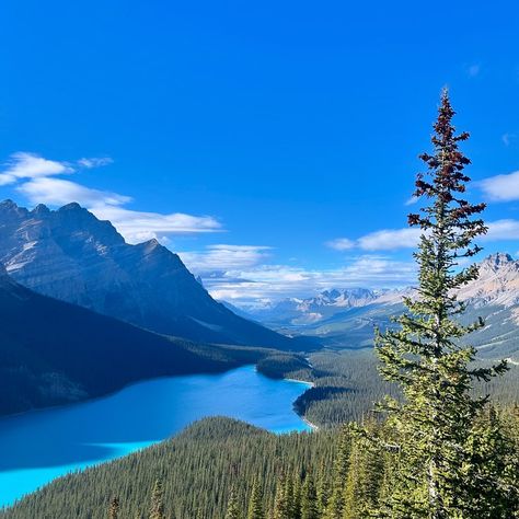 Favourite stop on the way to Banff Springs💙 #rockymountains #banff #banffnationalpark #banffalberta #peytolake #blueskies #roadtrip #mountains Banff Mountains, Pretty Views, Banff Alberta, Travel Bug, Banff National Park, Travel Bugs, Travel Goals, Rocky Mountains, Rocky