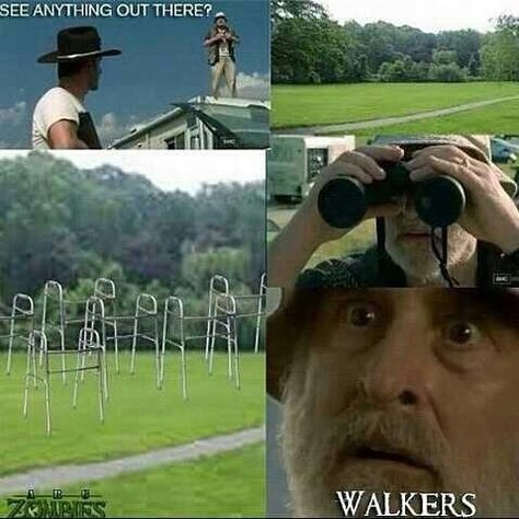 #TWD Zombies The Walking Dead, Walking Dead Meme, Twd Memes, Broken Humor, Twd Funny, Walking Dead Funny, Walking Dead Zombies, Walking Dead Memes, Dead Memes