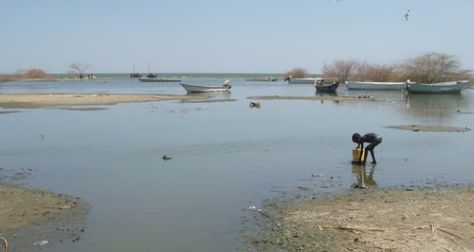 Drying Up Of Lake Chad, A Major Climate Change Disaster In Africa - UN Lake Chad, United Nations General Assembly, Peace And Security, Folk Tales, Entertainment News, Over The Years, Lake, Entertainment, Water