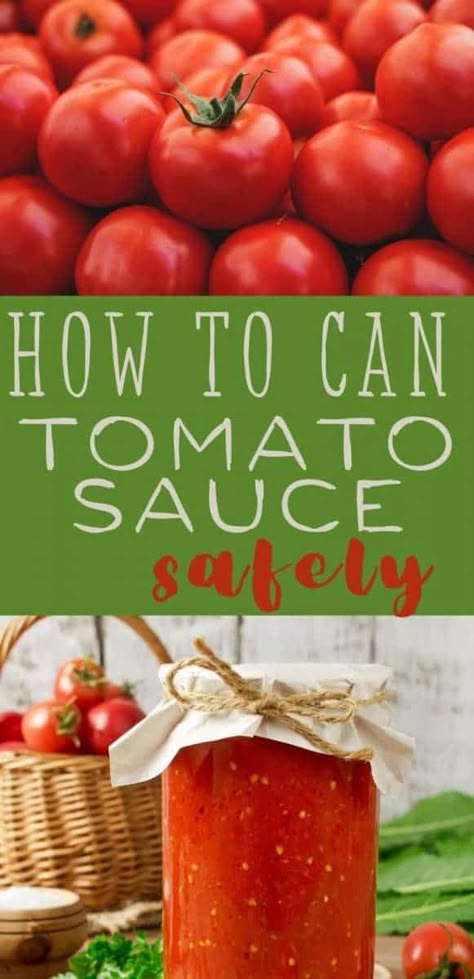 Turn your fresh garden tomatoes into wonderful tomato sauce with this simple water bath canning recipe! #canning #tomatoes #sauce #waterbath #foodpreservation Waterbath Canning Recipes, Recipe For Tomato Sauce, Cherry Tomato Pasta Sauce, Canning Cherry Tomatoes, Canning Tomatoes Recipes, Water Bath Canning Recipes, Can Tomato Sauce, Canned Spaghetti Sauce, Pressure Canning Recipes