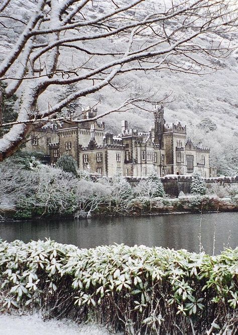 It’s beginning to look a lot like Christmas…! How beautiful does Kylemore Abbey, County Galway, look? Just enough snow to dust the walls with a festive sparkle. Kylemore Abbey, County Galway, Destination Voyage, Beautiful Castles, A Castle, Galway, Ireland Travel, Beautiful Buildings, Pretty Places