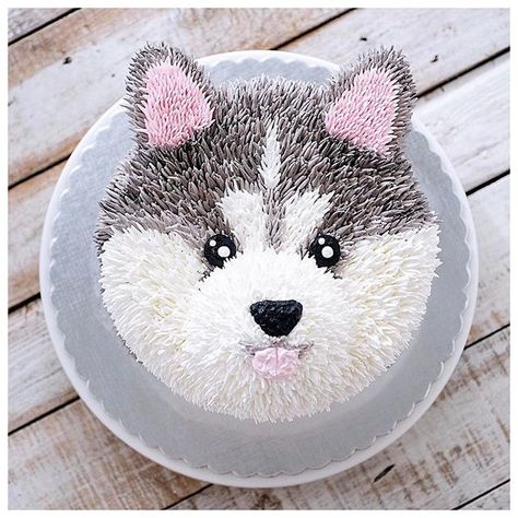 Woof you baby husky Husky Cake, Wolf Cake, Baby Husky, Baby Huskies, Peanut Butter For Dogs, Mini Torte, Puppy Cake, Animal Cakes, Dog Cakes