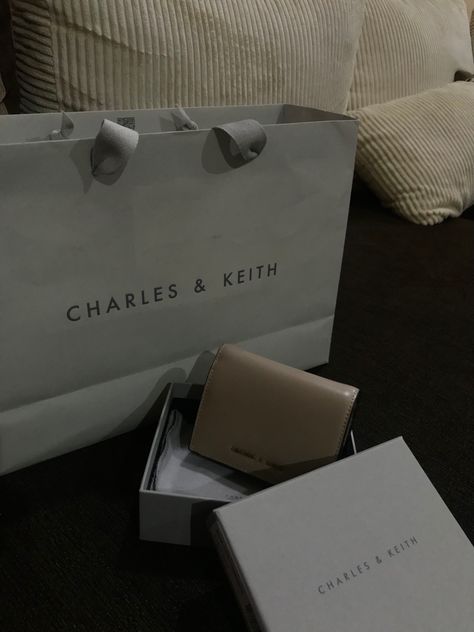 Charles And Keith Bags, Charles And Keith, Luxurious Life, Charles Keith, Rich Girl, Daily Outfits, Life Style, Collage, Gifts