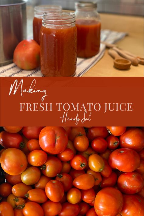 Making Delicious Tomato Juice | The Best V8 Recipe - Hearty Sol Tomato Juice Recipes, How To Store Tomatoes, Tomato Juice, Tomato Garden, Fresh Tomatoes, Chicken Stock, Juicing Recipes, Canning Recipes, Classic Food