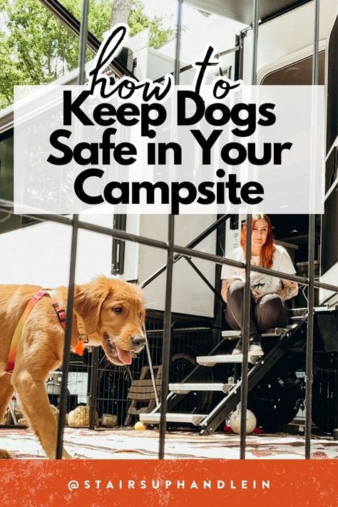 Here's how we keep our dogs safe in our campsite, when we RV with dogs. As full-time RVers, we have been living in an RV for over 3 years with our dogs. Our dogs who travel with us need to be kept safe, so we invested in a fence for our campsites to help. Rv Camping With Dogs, Rv Dog Fence, Dog Boutique Ideas, Camper Storage Ideas Travel Trailers, Rv Dog, Rv Pet, Safety On The Road, Camping With Dogs, Living In An Rv