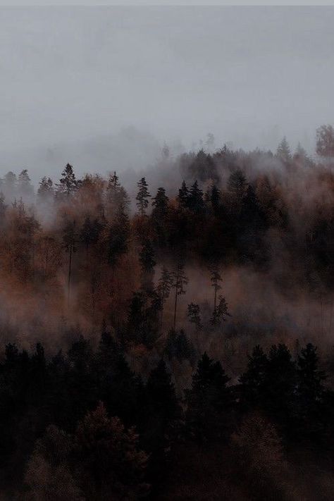 Brown Forest Aesthetic, Witchcraft Halloween, Introverted Sensing, Dark Autumn, Haunted Houses, Brown Aesthetic, Autumn Aesthetic, Halloween Town, Nature Aesthetic