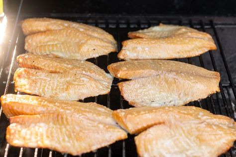 Smoked Tilapia Recipe Smoked Tilapia, Tilapia Fillet Recipe, How To Cook Tilapia, Wood Fire Grill, Ninja Woodfire Grill, Pork Spices, Tilapia Fish Recipes, Traeger Grill Recipes, Tilapia Recipe