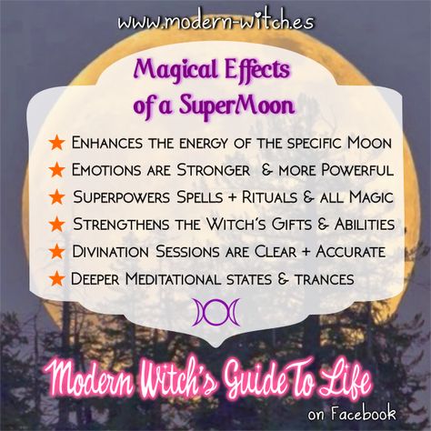 Full Moon In Leo, Full Moon Tarot, Sturgeon Moon, Witch Things, Moon In Aquarius, Moon In Leo, Full Moon Ritual, Magical Things, Witch Gift