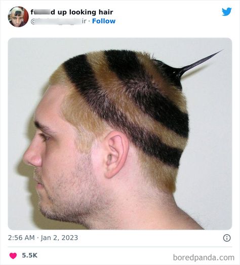 This Twitter Page Shares Photos Of ‘Effed Up Looking Hair’, And Here Are 40 Of The Most Hilarious Pics Horrible Haircuts, Weird Haircuts, World Hair, Bad Haircut, Flat Hair, Creative Hairstyles, Very Funny Pictures, Short Hair With Bangs, Buzz Cut