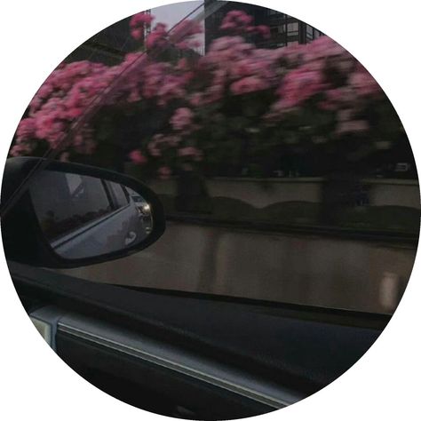 Dp Ideas, Mirror, Flowers, Pink, Instagram