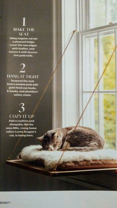 Katt Diy, Katt Grejer, Kat Diy, Cat Window Perch, Window Perch, Cat Window, Cat Ideas, Cat Crafts, Cat Room