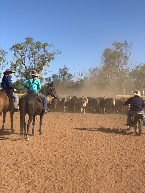 Vintage Western Aesthetic, Country Girl Life, Outback Australia, Country Lifestyle, Western Aesthetic, Future Jobs, Ranch Life, Northern Territory, In Another Life