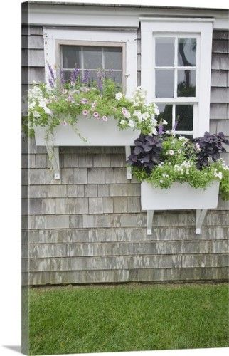 Premium Thick-Wrap Canvas Wall Art Print entitled Window Boxes, Nantucket, None Front Porch Addition, Nantucket Style Homes, Porch Addition, Window Box Flowers, Nantucket Island, Muted Blue, Flowers Bloom, Window Boxes, Window Box