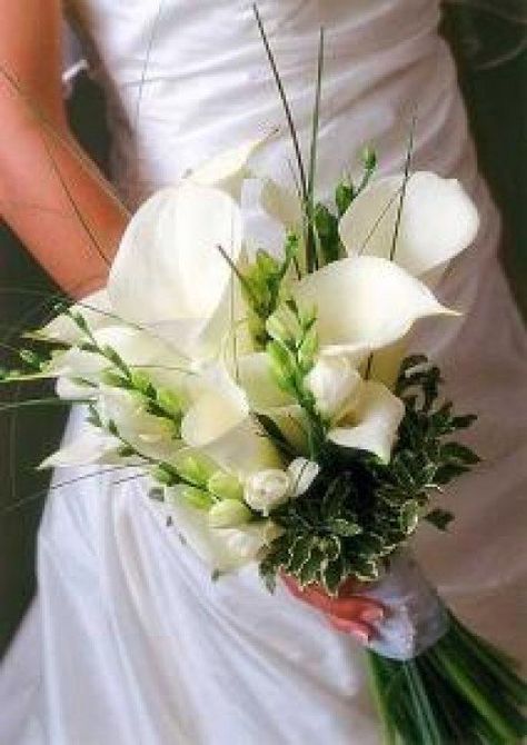 In the classic white bouquet, only a few will be needed with some floral accents and variegated foliage. It creates a fresh and artistic flower bouquet that won't look fussy or "over the top". Calla Lillies Wedding, Calla Lily Wedding Flowers, White Calla Lily Bouquet, Calla Lily Bouquet Wedding, Unique Wedding Bouquet, Calla Lily Wedding, Artificial Wedding Bouquets, Calla Lily Bouquet, Lily Wedding