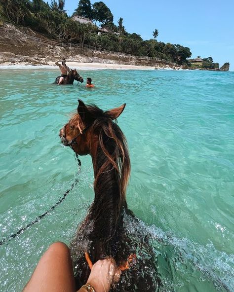 Swimming With Horses, New Experiences Aesthetic, Cool Experiences, Experiences Aesthetic, Horse Swimming, Experience Aesthetic, Bali Activities, Bali Aesthetic, Dream Holidays