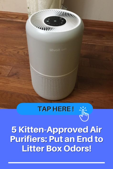 best air purifier for cat litter Air Purifier For Pets, How To Get Rid Of Cat Litter Box Smell, Cat Litter Smell Get Rid Of, Litter Box Odor Control, Odor Eliminator House, Odor Eliminator Diy, Cat Odor Eliminator, Cat Litter Smell, Litter Box Smell