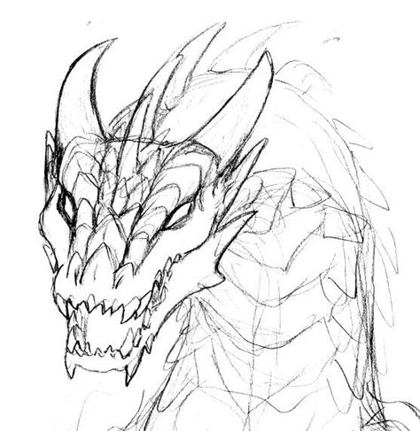 Dragons Face, Face Coloring Pages, Dragon Head Drawing, Face Coloring, Dragon Poses, Dragon Anatomy, Dragon Drawings, Queen Of Dragons, Dragon Coloring