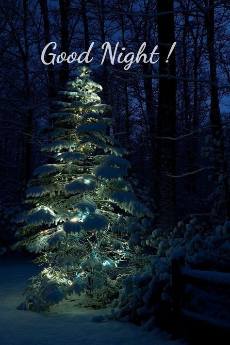 Winter Good Night, Winter Goodnight, Christmas Goodnight, Good Night Winter Images, Christmas Goodnight Images And Quotes, Christmas Greetings Quotes Messages, Funny Good Night Quotes, Christmas Greetings Quotes, Xmas Quotes