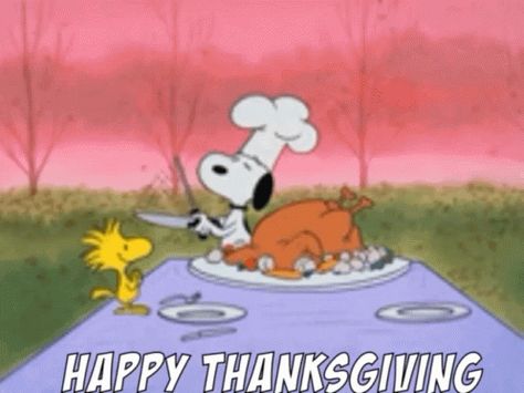 Happy Thanksgiving Snoopy GIF - HappyThanksgiving Snoopy Greetings - Discover & Share GIFs Gifs Snoopy, Thanksgiving Snoopy, Charlie Brown Thanksgiving, Thanksgiving Facts, Tom Et Jerry, Woodstock Snoopy, Animiertes Gif, Peanuts Charlie Brown Snoopy, Charlie Brown Snoopy