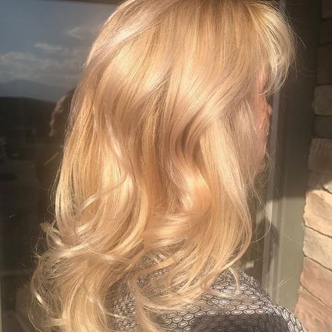 Carnal Blonde Hair, Yellow Toned Blonde Hair, Blonde Hair For Warm Undertones, Natural Golden Blonde Hair, Sunny Blonde Hair, Blonde Dyed Hair, Light Honey Blonde, Ideas For Medium Length Hair, Sunny Blonde