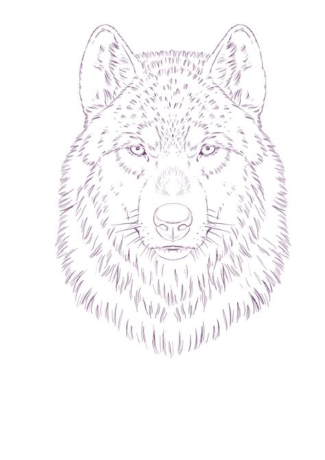 Realistic Wolf Tattoo Stencil, Wolf Head Tattoo Stencil, Wolf Tattoo Stencil Design, Tree Tattoo Stencil Outline, Wolf Tattoo Outline, Wolf Tattoo Sketch, Wolf Tattoo Stencil, Wolf Stencil, Simple Compass Tattoo