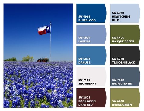 Texas bluebonnets -- love it! Bluebonnet Color Palette, Texas Color Palette, Metal Building House, Elemental Design, Painting Tile Floors, Texas Bluebonnets, Indigo Batik, Building House, Metal Building Homes