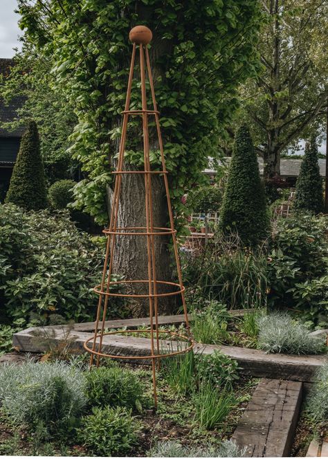 Obelisks In The Garden, Rustic Garden Obelisk, French Garden Obelisk, Obelisk And Metronome, Rose Obelisk, Metal Obelisk, Burford Garden Company, Amelanchier Alnifolia Obelisk, Obelisk Trellis