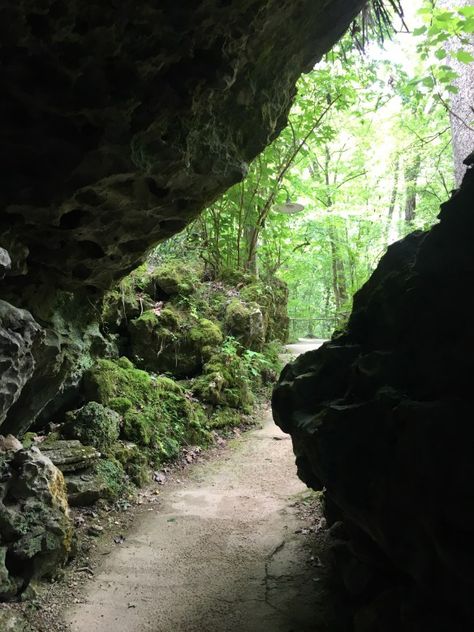 Florida Caverns State Park. Only dry cave system in state open to public. Florida Caverns, Florida Caverns State Park, Conservation Corps, Civilian Conservation Corps, Cave System, Florida State Parks, Florida Springs, Cave Diving, Sea Floor